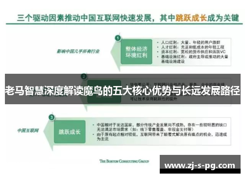 老马智慧深度解读魔鸟的五大核心优势与长远发展路径