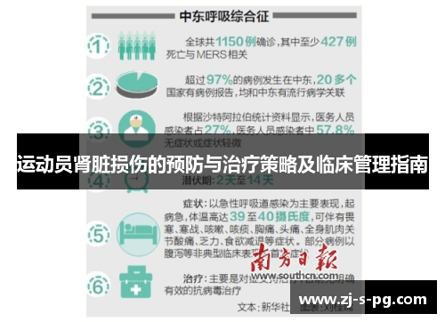 运动员肾脏损伤的预防与治疗策略及临床管理指南 运动员肾脏损伤的预防与治疗策略及临床管理指南
