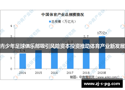 青少年足球俱乐部吸引风险资本投资推动体育产业新发展