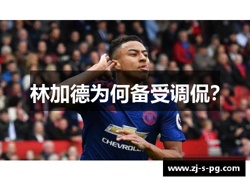 林加德为何备受调侃? 林加德为何备受调侃?