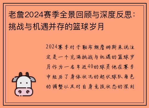 老詹2024赛季全景回顾与深度反思：挑战与机遇并存的篮球岁月